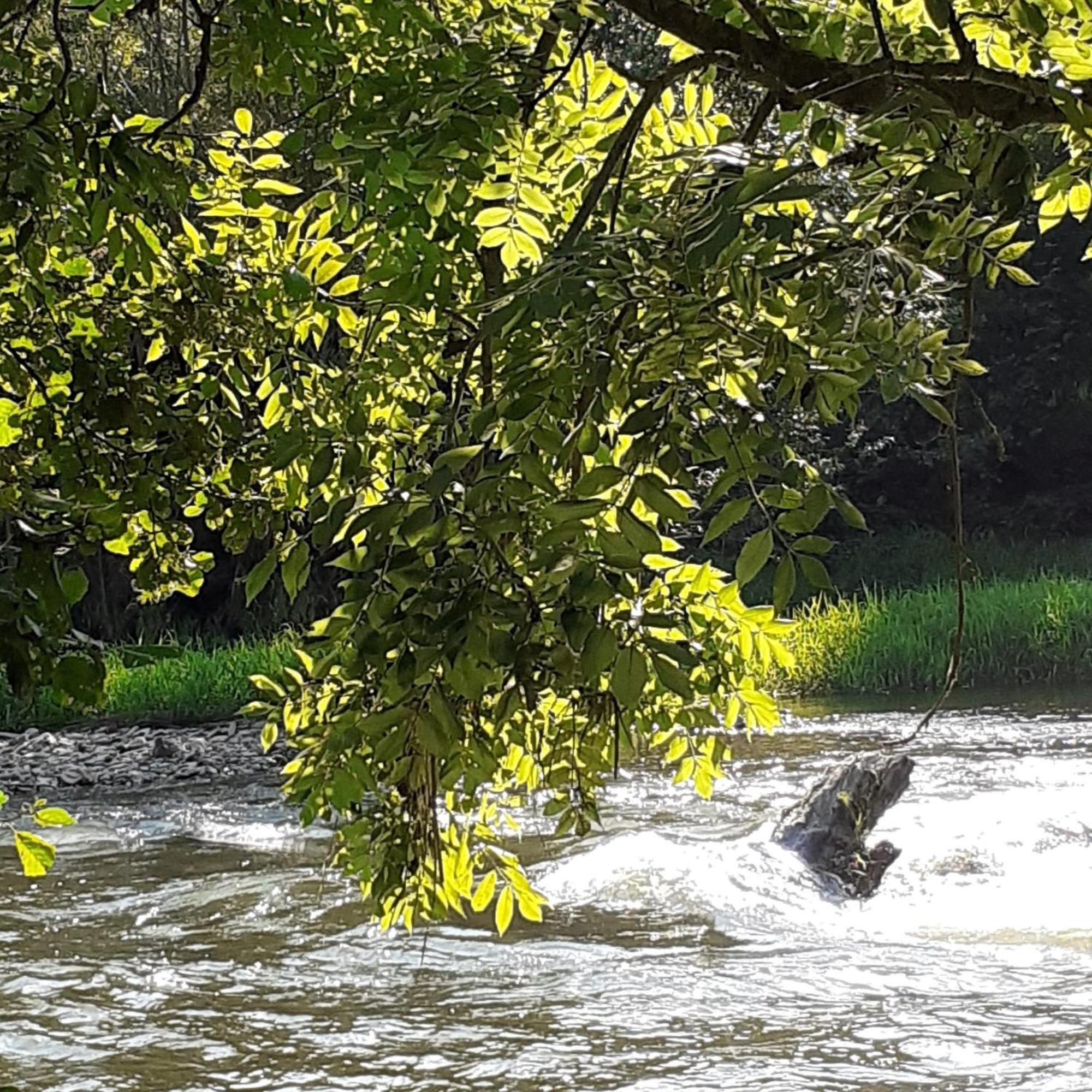 Stadt Land Fluss Plus Arnsberg Exteriör bild